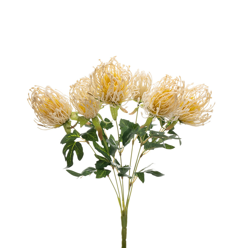 Pincushion Protea Bush Cream 45cm