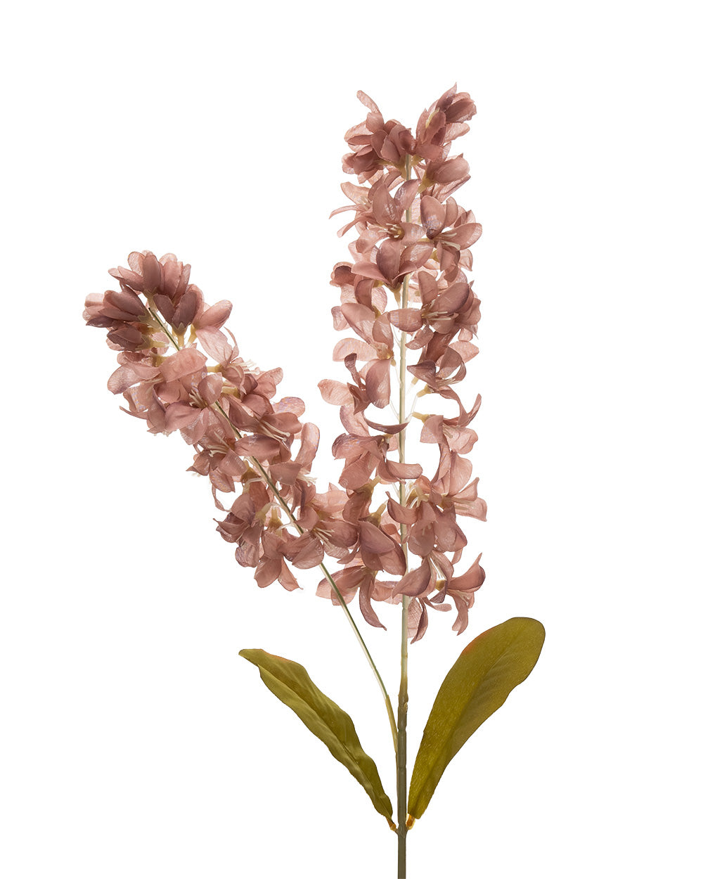 Dried Stock Stem Dark Pink 100cm