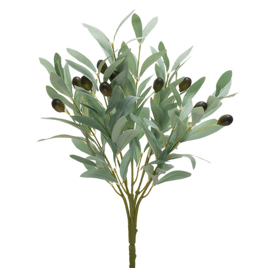 Olive Bush Green & White 40cm