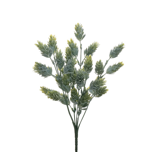 Hop Bush Green 32cm
