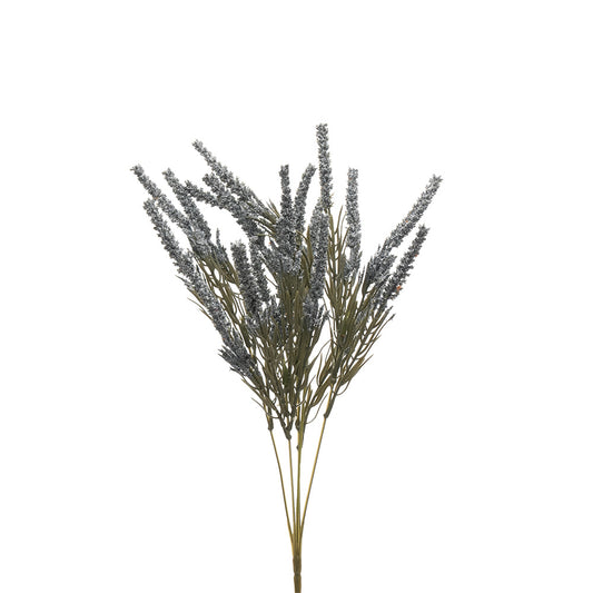 Lavender Bush Blue 42cm