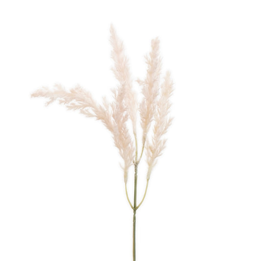 Pampas Pick Pink 31cm