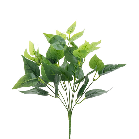 Jade Pothos Bush 35cm