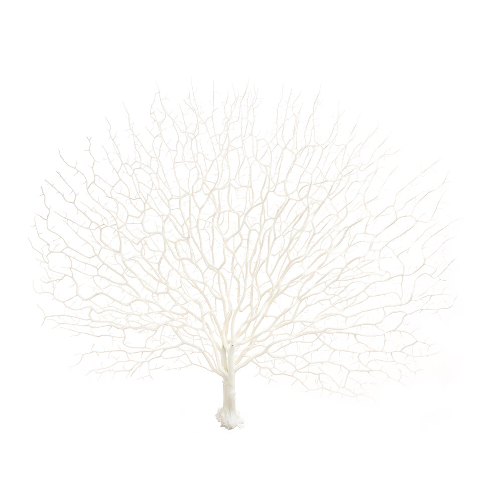 Fan-shaped Twig White 45cm
