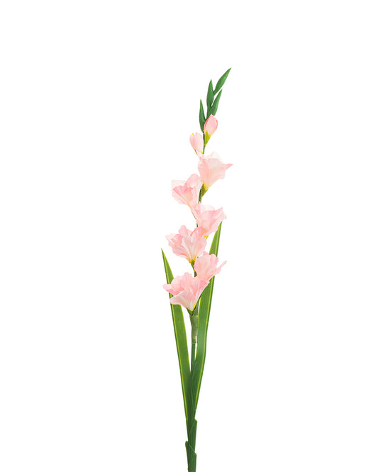 Gladiolus Stem 8 Heads Light Pink 91CM