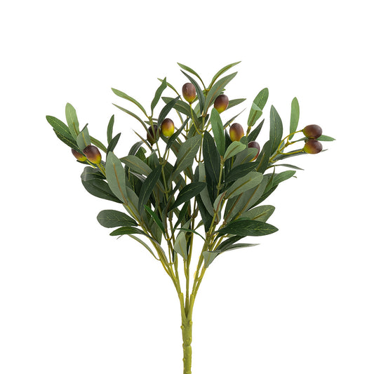 Olive Bush Green 40cm