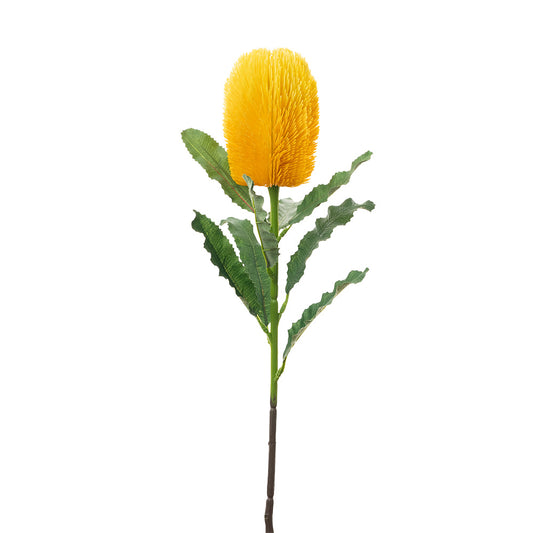 Banksia Stem Yellow 65cm