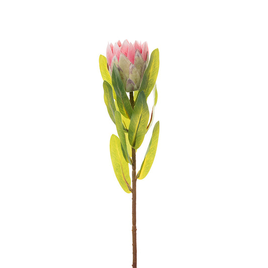 Protea Bud Pink 38cm