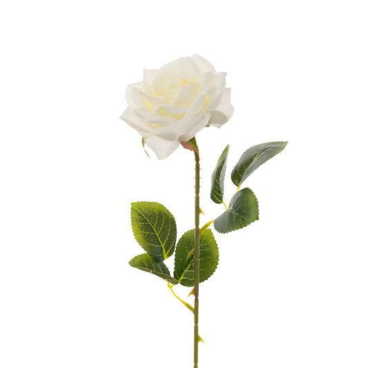 Single Stem Rose Cream 50cm