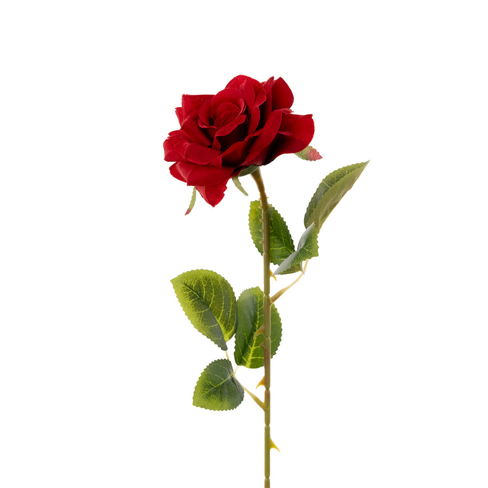Single Stem Roses Single Stem Rose Red 50cm – Star Value