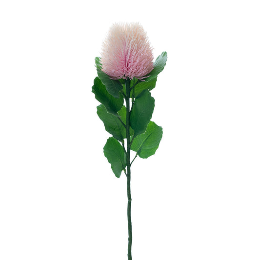 Banksia Bud Stem Light Pink 59cm