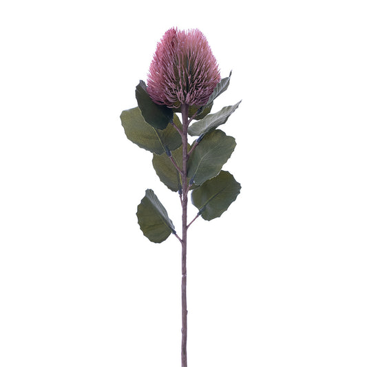 Banksia Bud Stem Pink 59cm