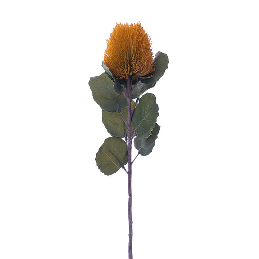 Banksia Bud Stem Yellow 59cm