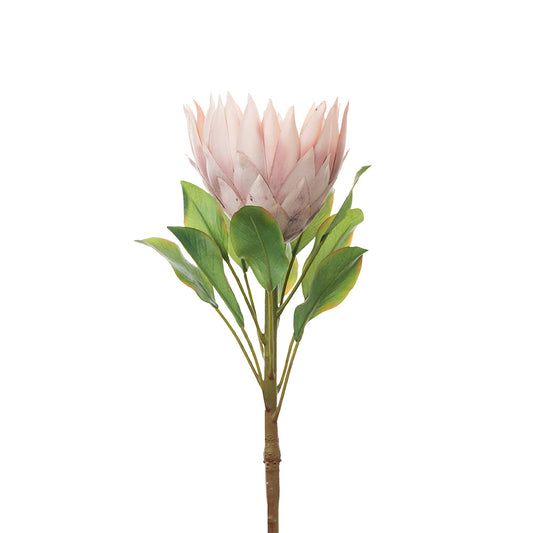 King Protea Light Pink 73cm