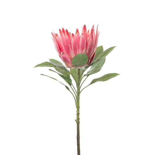 King Protea Pink 76cm