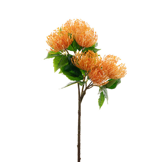 Pincushion Protea Spray Orange 52cm